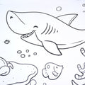 Feature close-up of textured tear-resistant paper on educational coloring roll