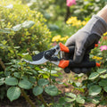 Close-up view of pruning shears and hand saw tools for gardening