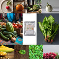 Assorted vegetable seeds for home garden cultivation