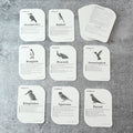 Montessori-aligned bird flashcards promoting sensory and cognitive learning for toddlers