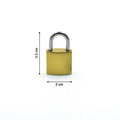 Detailed view of the textured surface of the FortiLock Imitation Copper Lock.