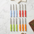Stainless steel vegetable and fruit cutting knives in the set