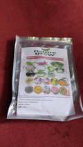 Seed Variety Display presenting colorful, assorted vegetable and flower seeds in a home gardening kit.