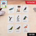 Close-up of vibrant bird flashcard featuring a peacock image with name label