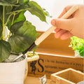 Three pieces of the Kids Garden Tools Set, ready for an exciting day of outdoor gardening.