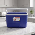 Blue insulated cooler box for hot and cold storage