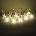 Decorative flameless cactus candle with LED light inside transparent holder