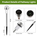 Garden solar LED lights with stainless steel frames for outdoor use