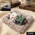 Close-up of plush cat open eye showpiece from side angle